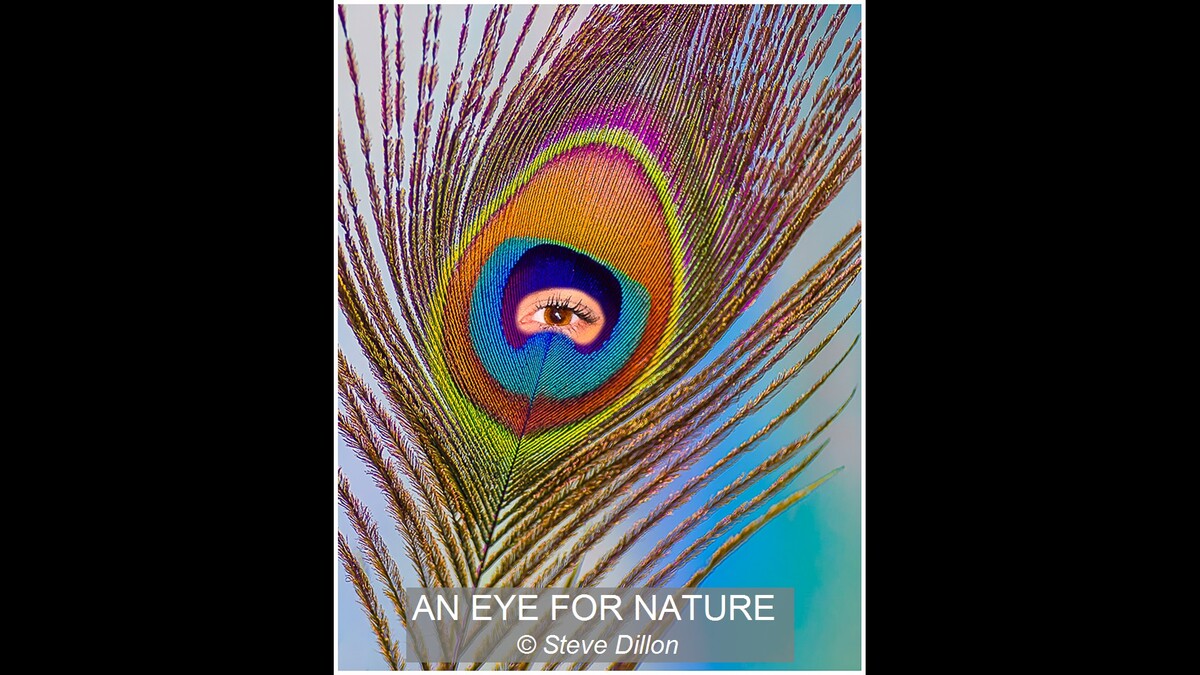 AN EYE FOR NATURE